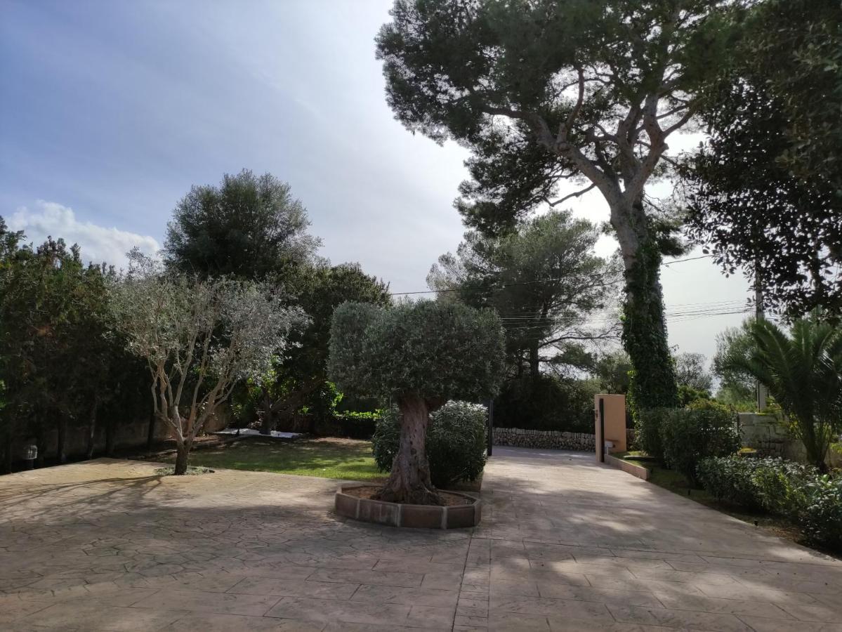 Villa Mestral Alcúdia Exterior foto